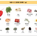 쉬즈산부인과의원 | <임신> 임신 중 철분 보충