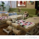 에바다 체험케어 이미지