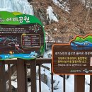 어비숲민박 티스토리