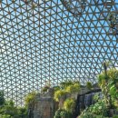 새둥지 | [거제] 거제 가볼만한 곳, 거제 식물원 정글돔 _ 새둥지 포토존 방문 후기