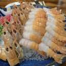 동광로3길 49 | [제주맛집] 내가 2번 이상 방문한 제주도 각종 맛집과 카페들