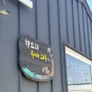 학소리 승마 외승클럽, 첫 외승 말랑코 벚꽃 외승 후기