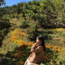 [남해 여행] 남해여행 코스 추천 (힙한식/돌창고프로젝트/양모리학교/다랭이마을+등등)