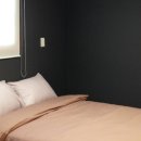 제주마로 이미지