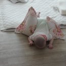 성윤타이어 네이버블로그
