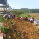 청정신흥마을 이미지