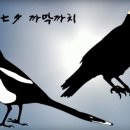 견우와직녀 이미지