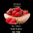 샬롬 - 유성구 엑스포로 488 | 샬롬