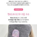 펫보드레 이미지