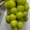 컷팅클럽 | 강동구 둔촌동 컷팅과일 판매 ‘ 행복민턴 과일클럽 ’