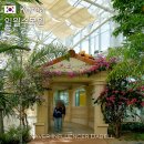 호수동주민센터 주차장안 | 수원 실내 놀만한곳 일월수목원 데이트 놀거리