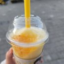 세븐일레븐전북대점 | 이것저것 간식 리뷰|요맘때 리치피치맛|젤리소다 포도|컴포즈 유자스무디