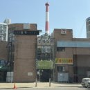 노원 중계의원 예약, 레이저 시술 후 7일 후기 (혐 주의 ....😱)