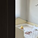 🛏️아기침대 토들즈 버디하우스 저상형 데이베드 내돈내산 후기