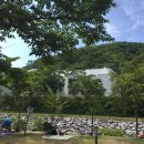 조치원 파닭 두마리치킨 이미지