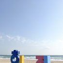 맘스터치 초곡점 | 포항 노지캠핑 차박 화진해수욕장 차박지 캠핑장소 캠린이의 하루