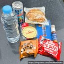 인갤러리 A | [2025 왓츠인마이블로그] 아시아오픈마라톤 후기 - 70분 풍선이 뒤에서 쫓아와요!