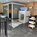 몽글펫살롱 이미지