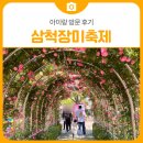 그늘막31 | 2025 삼척 장미축제 아이랑 방문 후기