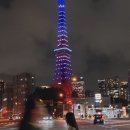 7월 도쿄 2박 3일 #2 | 휴먼메이드 x 블루보틀...상점, 도쿄 킷사텐 추천, 에이치 뷰티 앤 유스, 도쿄...
