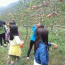 거제 팜스테이 이미지