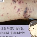 연세이지내과의원 이미지