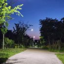 하나울 공원 이미지