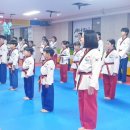 새나라태권도장 이미지