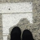 알로 롯데백화점 잠실점 이미지