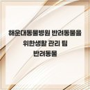 힐 동물병원 | 해운대동물병원 반려동물을 위한생활 관리 팁 반려동물