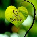 보람삼성공인중개사사무소 이미지