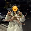 동명항 | [속초] 상다리 부러지게 차려주는 "속초동명항게찜" 후기