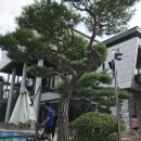 가족펜션블루 이미지