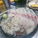 회산오징어 세상