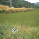 신을 말한다 / ② 위치는 낮고 위상은 높다 이미지