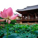 나무여행 이미지