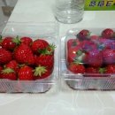 은애농장 이미지