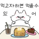 착한고기용인