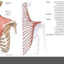 프로피티 이미지