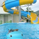 더슈나애견펜션 이미지