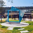 왕피천 은어길 | 울진 가볼만한곳(성류굴, 죽변해안스카이레일, 은어 다리, 왕피천 케이블카, 망양정)