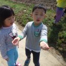 임영택농장 이미지