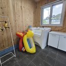 퍼피그램 이미지