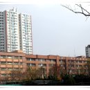 서현1동.우성아파트 이미지