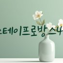 스테이형