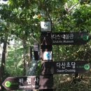 예술광장1로80~예술광장로47(국민건강보험공단) 주변 | ★여름 휴가는 전남으로~(전남의 각종 피서지와 할인가맹점 )