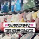 미숙이네 이미지
