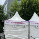 고래정원 | [울산] 장생포 고래마을 수국정원 방문후기