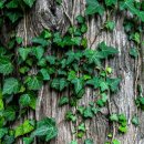 예덕피부관리 이미지