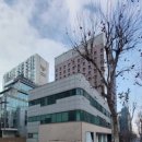 신학철피부과의원 이미지